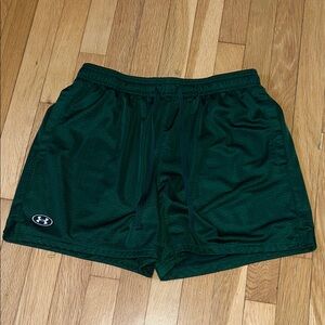 Under Armour Icon Mesh Shorts